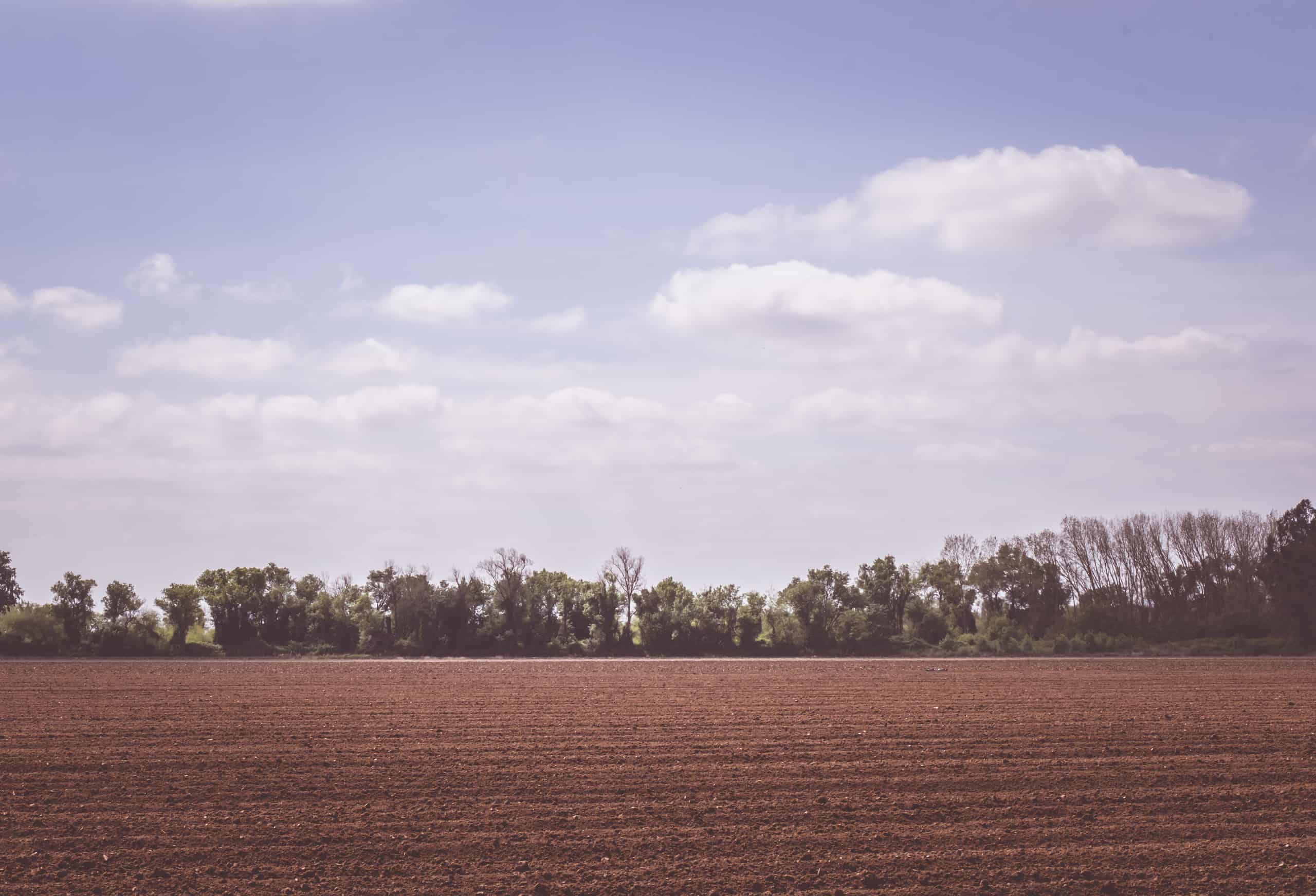 Fotografia e Design de Cadernetas Personalizadas