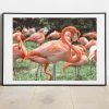 Quadro Flamingos Lisboetas