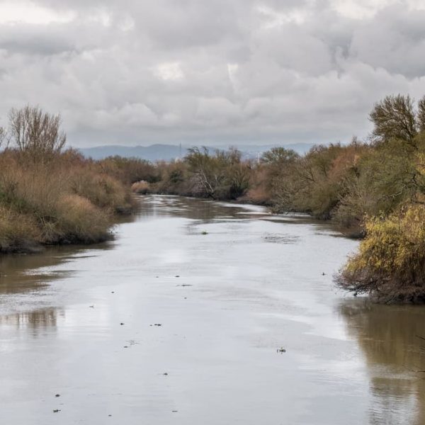 Vala real Azambuja 4