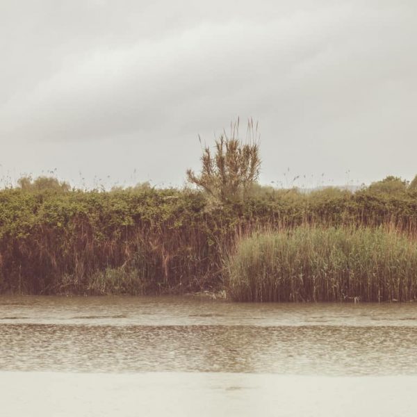 Fotografia na Lezíria do Ribatejo 2020​