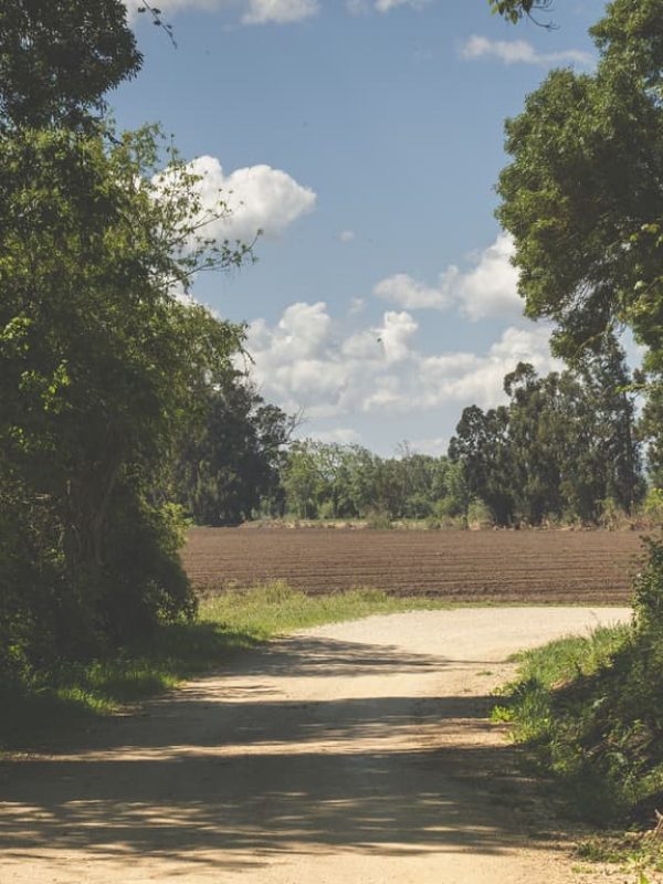 Vista Palácio de Azambuja